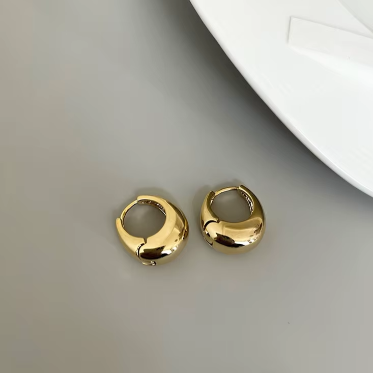 Elegant Oval Earrings